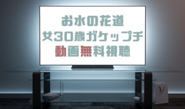 ドラマ スワンの馬鹿の動画を１話から全話無料で見れる動画配信まとめ ドラマの森 最新無料動画まとめ