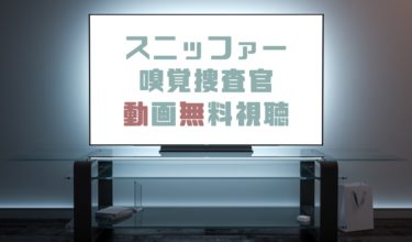 ドラマ 天地人の動画を１話から全話無料で見れる動画配信まとめ ドラマの森 最新無料動画まとめ