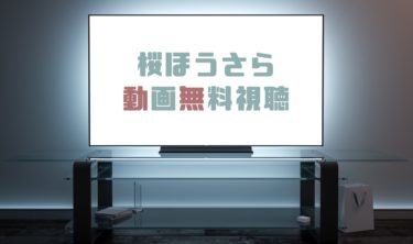 ドラマ ピュア 一日のアイドル署長の事件簿の動画を１話から無料で見れる動画配信まとめ ドラマの森 最新無料動画まとめ